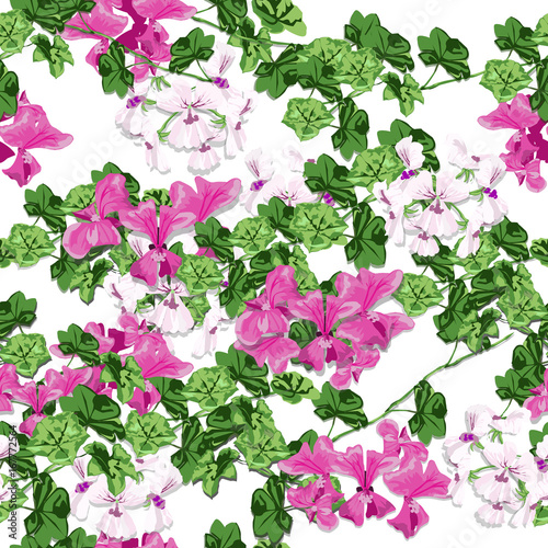Geranium garden in the spring. White and pink flower design is vector for seamless pattern and background.