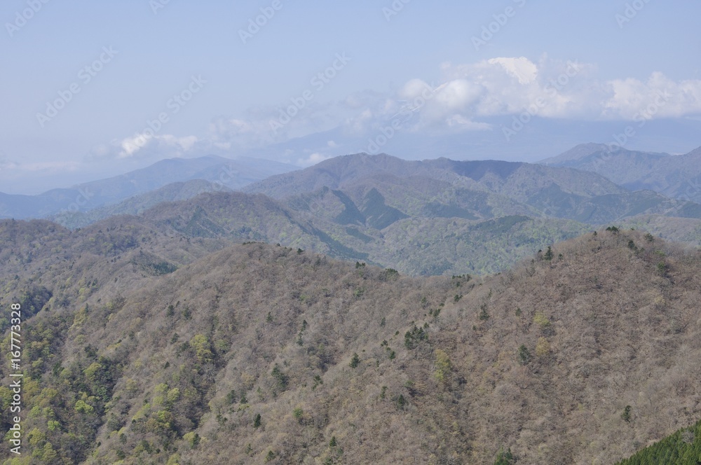 大室山からの富士山