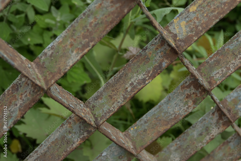 Old rusty grate fence against the background of green plants. Old rusty grate fence against the background of green plants.