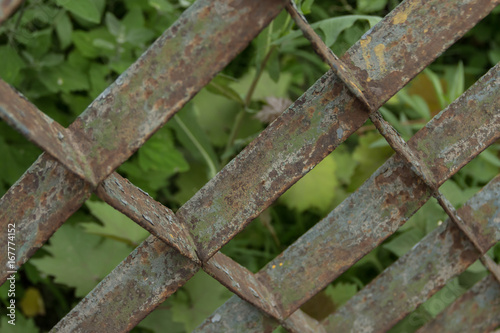 Old rusty grate fence against the background of green plants.