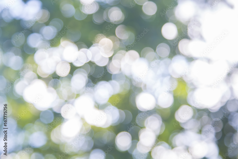 green bokeh background,green bokeh, green bokeh abstract green bokeh background,green bokeh, green bokeh abstract