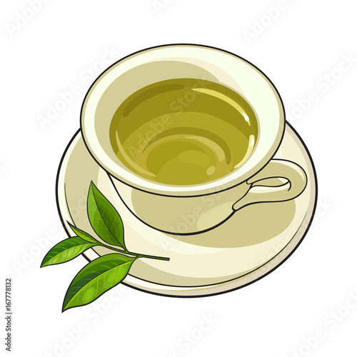 China, porcelain cup, saucer and fresh green tea leaf, sketch vector illustration isolated on white background. Hand drawn porcelain, china mug and saucer set with green tea leaf