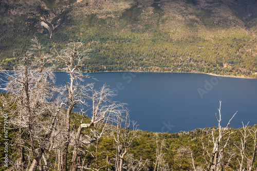 Valley landscape with lake and bare trees, Nahuel Huapi National Park, Rio Negro, Argentina photo