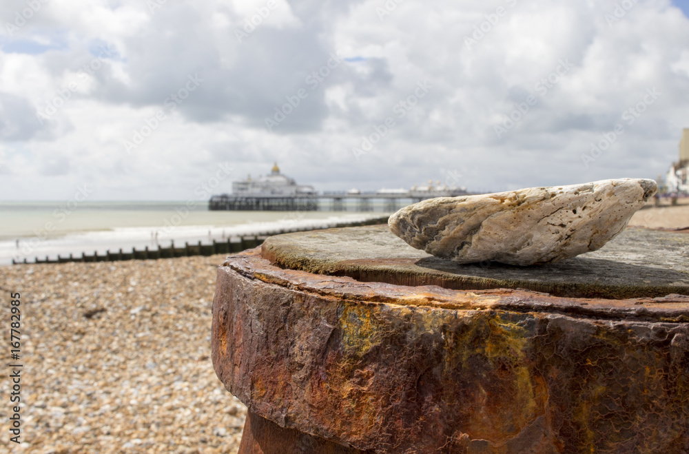 Sea shell in front of Eastbourne Pier at the beach, East Sussex, England, UK Sea shell in front of Eastbourne Pier at the beach, East Sussex, England, UK