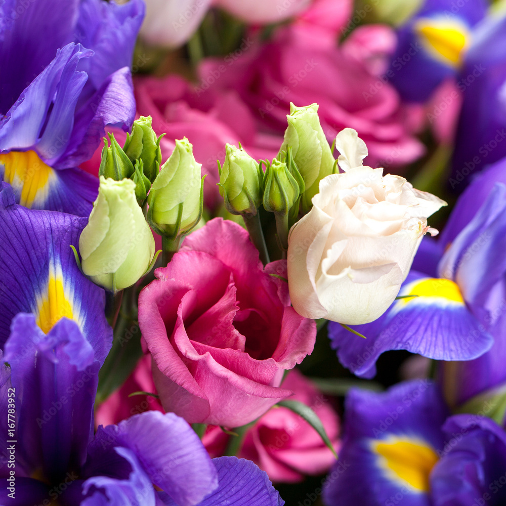 Fototapeta premium Buds of white roses surrounded by violet irises