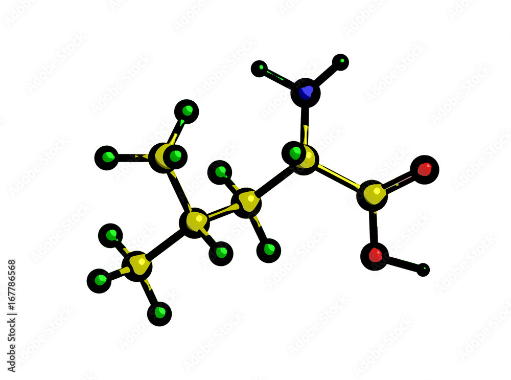 Molecular structure of leucine Molecular structure of leucine