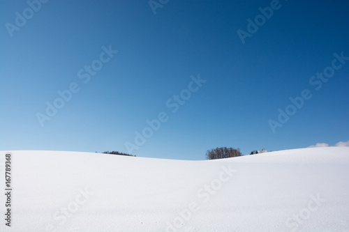 真っ白な雪原と冬晴れの青空