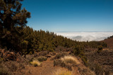 Above the clouds Tenerife