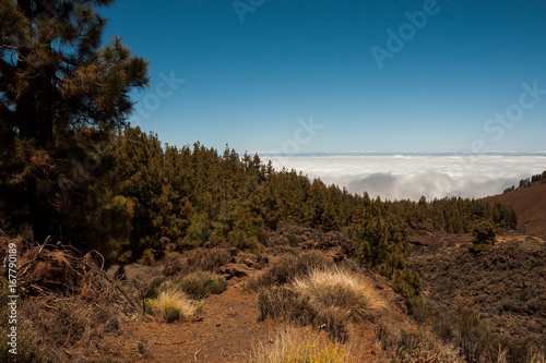 Above the clouds Tenerife