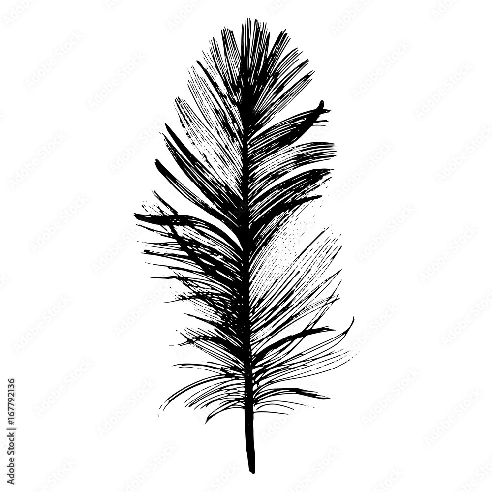 Obraz premium Vector bird feather from wing isolated. Vector feather for background, texture, wrapper pattern, frame or border.