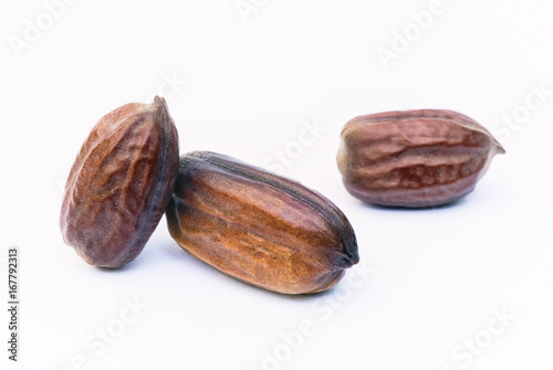 Jojoba seeds (Simmondsia chinensis)