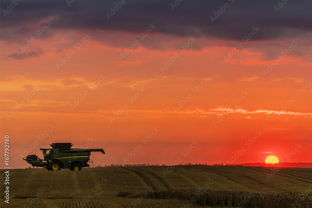 Fototapeta premium combine 