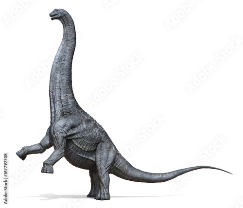3D rendering of Alamosaurus rising up, isolated on a white background.