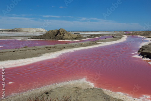 Quadro su tela Le saline di Giraud in Francia