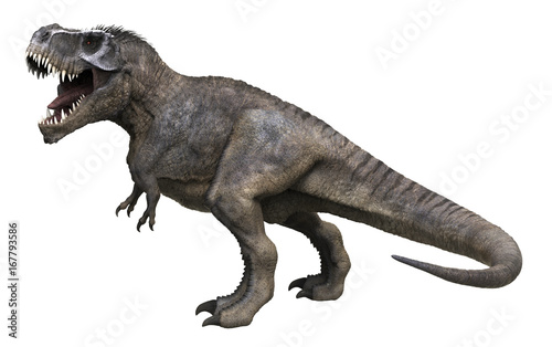 3D rendering of Tyrannosaurus Rex standing tall, isolated on a white background.