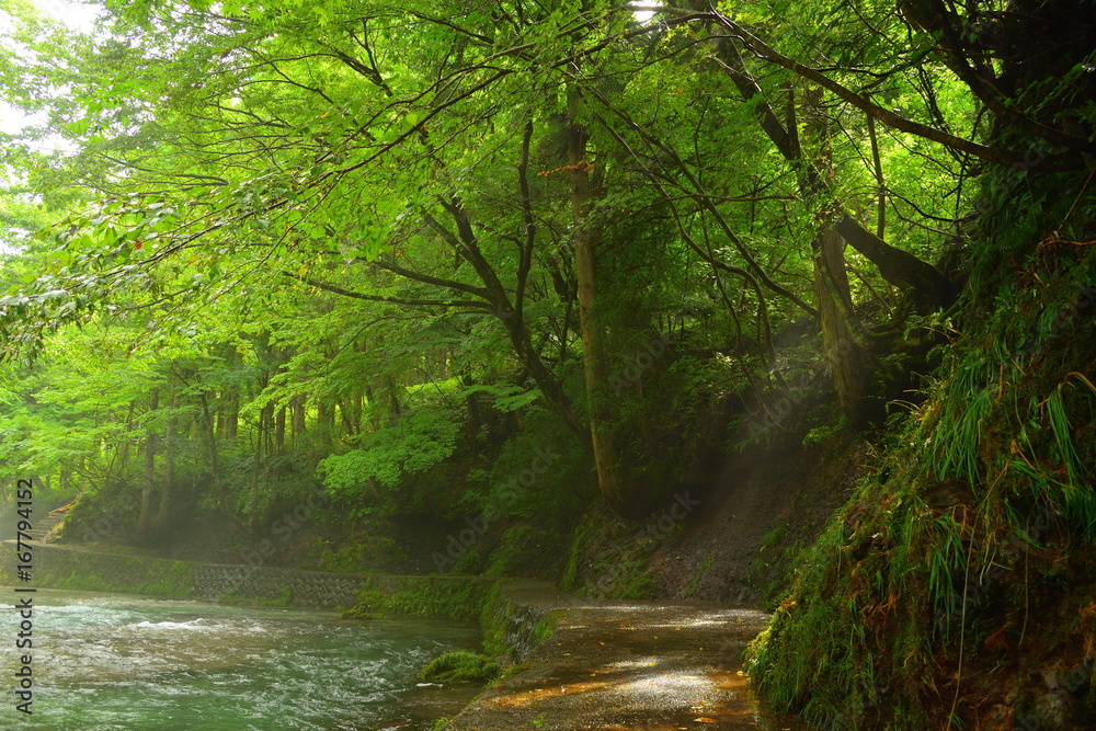 Obraz premium 岨谷峡