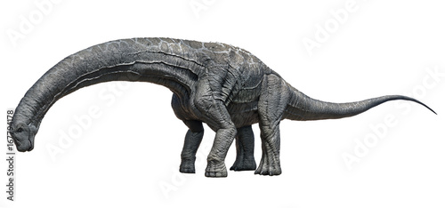 3D rendering of Alamosaurus, isolated on a white background. © Herschel Hoffmeyer