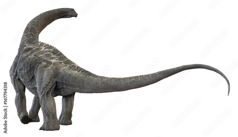 Fototapeta premium 3D rendering of Alamosaurus, isolated on a white background.