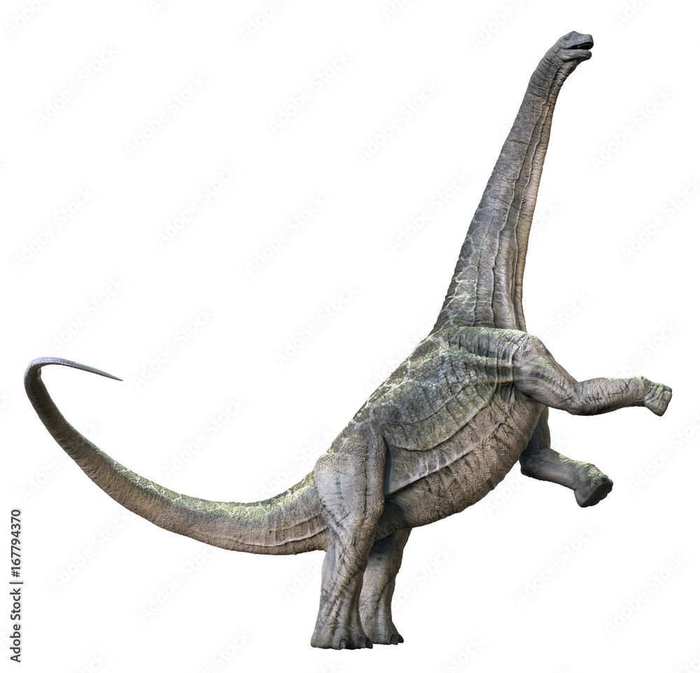 Fototapeta premium 3D rendering of Alamosaurus, isolated on a white background.