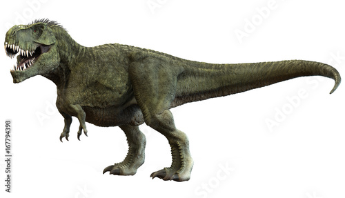 3D rendering of Tyrannosaurus Rex, isolated on a white background. © Herschel Hoffmeyer