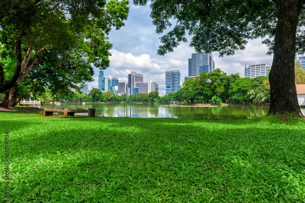 Green grass field in park at city center with business buildings in Bangkok, Thailand