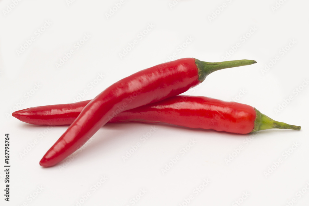 Red chilli pepper / Still life of fresh red chilli pepper