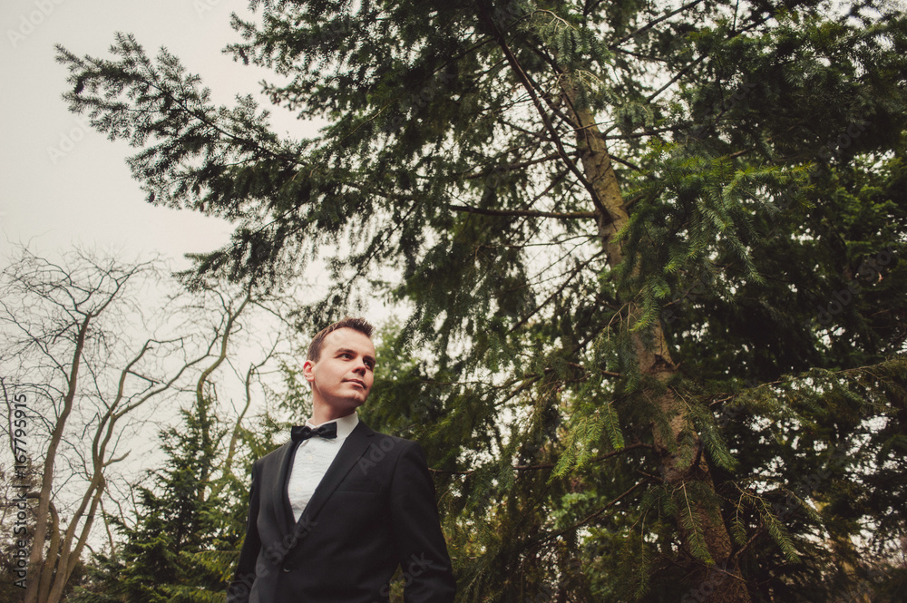 Portrait of the groom on a wedding day walk Portrait of the groom on a wedding day walk