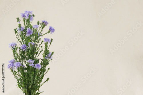 Purple cutter flowers bouquet with copy space