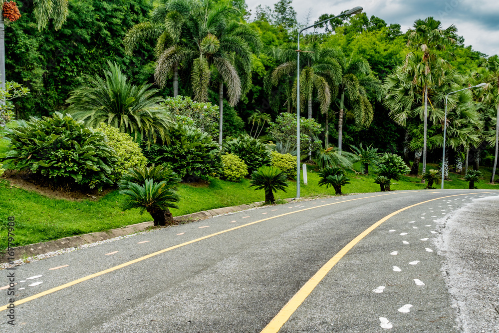 Road in the park Road in the park