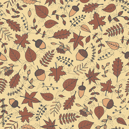 Colorful vector hand drawn pattern with autumn elements: foliage, berries and acorns on the beige background. Maple, sycamore, birch, beech and oak tree leaves. For your design.