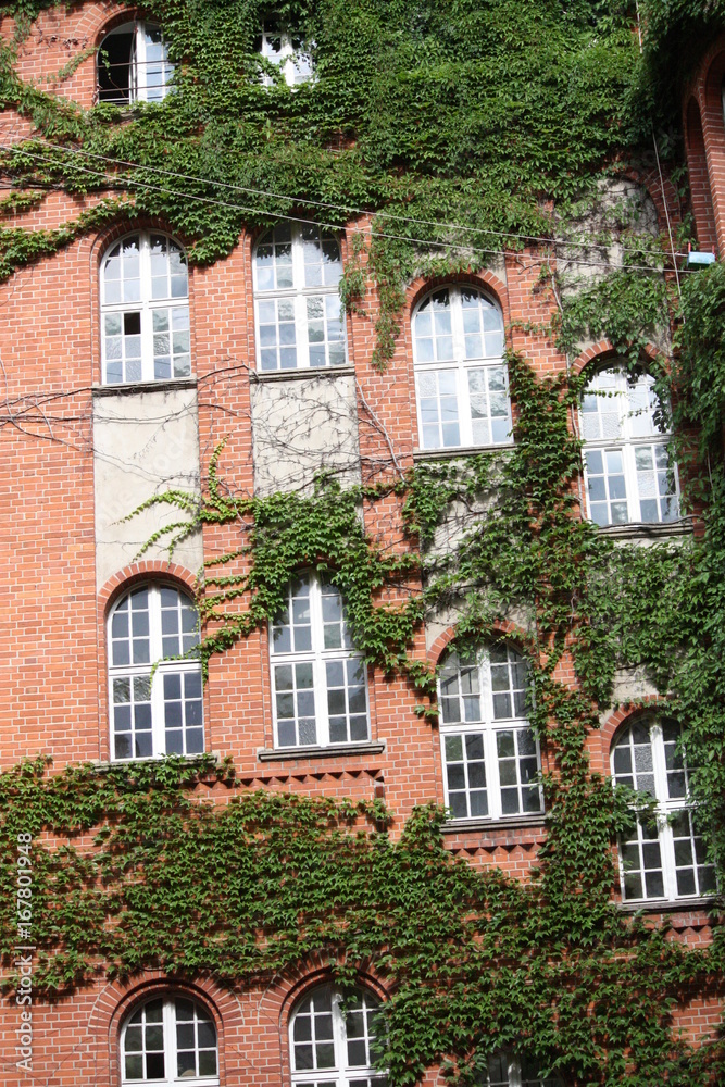 Fototapeta premium Fenster.