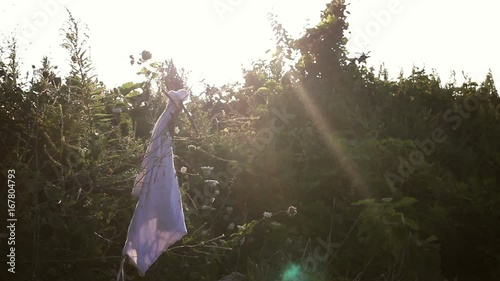 White shirt tied to a tree on the beach - hipster concept photo