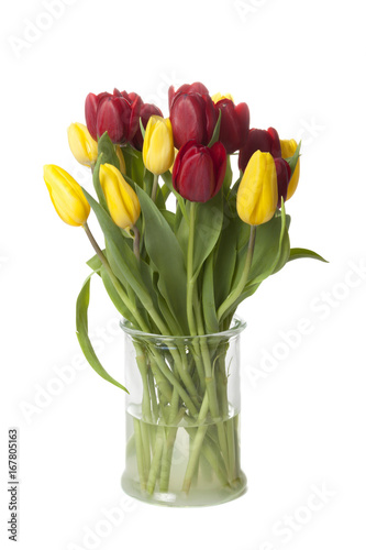 Red and yellow tulips in a glass vase isolated on white background