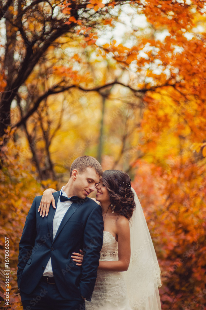 Wedding couple on a walk in the autumn park Wedding couple on a walk in the autumn park