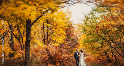 Wedding couple on a walk in the autumn park photo