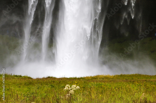 Closeup of waterfall against green grass. Icelandic landscape.