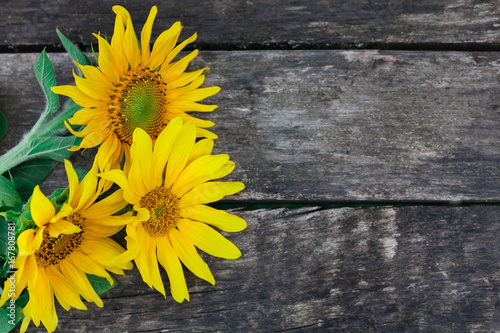 Sunflowers on a wooden table, copy space