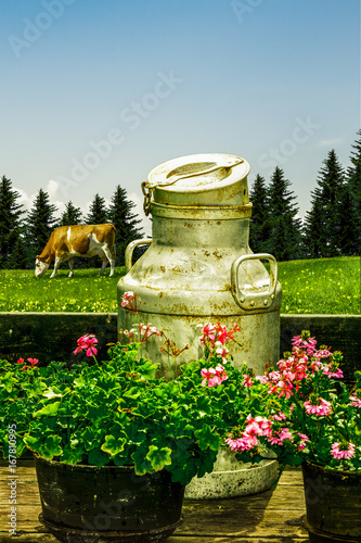 Milchkanne auf der Alm