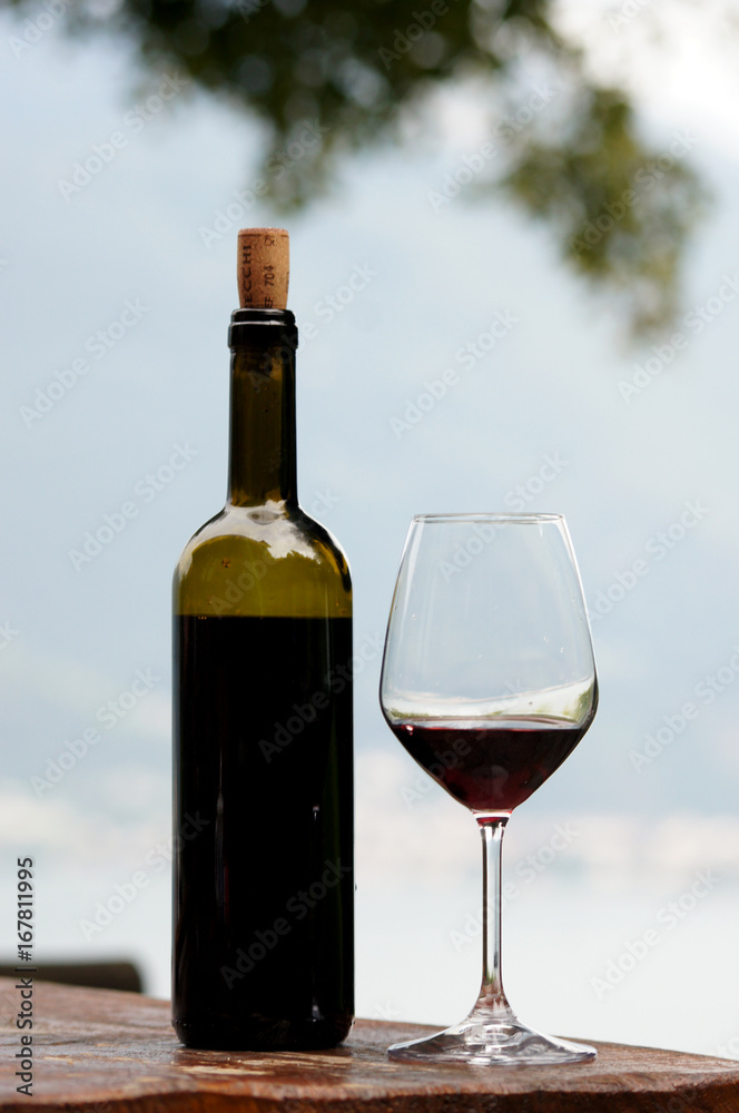 Bouteille de vin et son verre servi sur paysage