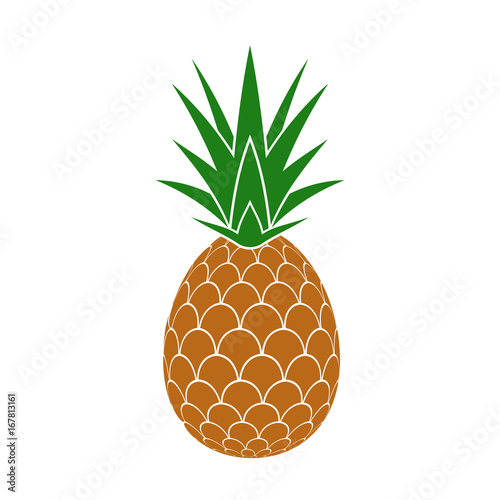 Pineapple. Vector. photo