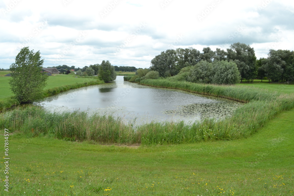Fototapeta premium dode rivierarm van de rivier de IJssel op een winderige dag