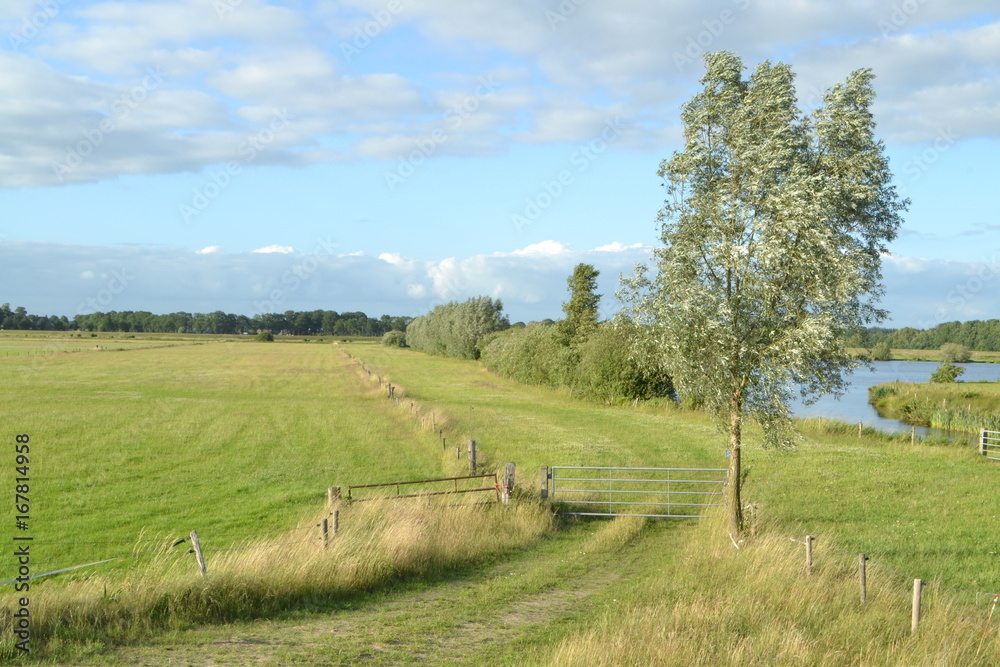 pad door weilanden met afrastering en oever met wilgen aan een waterplas bij de rivier de Vecht in het Vechtdal