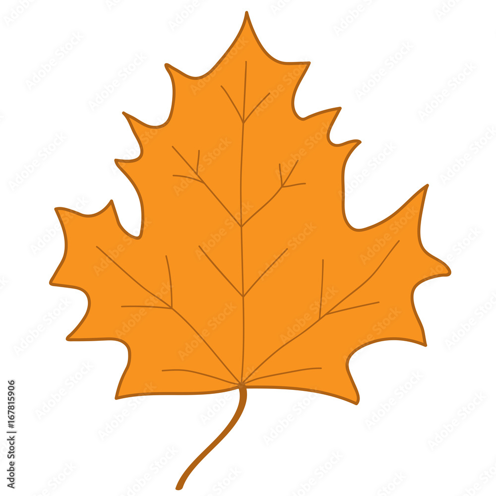 Obraz premium Maple leaf orange sign 4.07