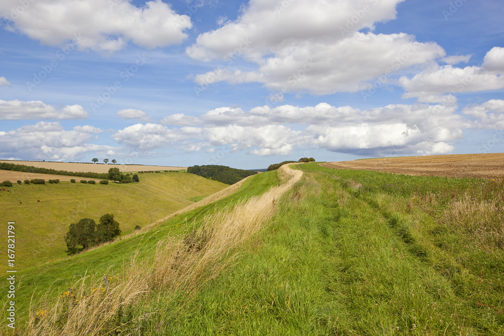 wolds valley in summer
