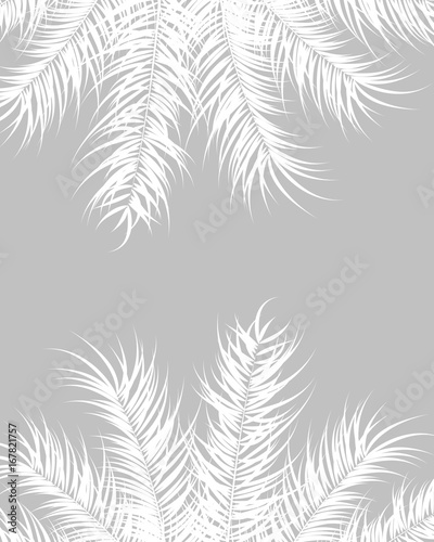 Fototapeta Naklejka Na Ścianę i Meble -  Tropical design with white palm leaves and plants on gray background