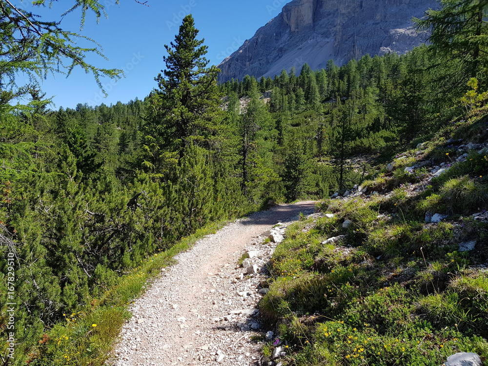 sentiero di montagna in Alta Badia