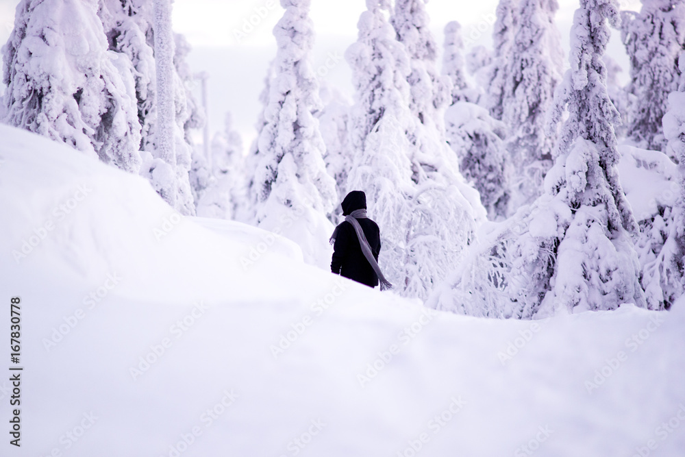 A person walking in the  wintry woods.