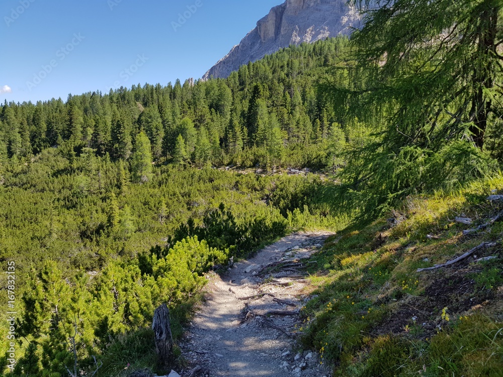 Fototapeta premium Trekking in Alta Badia sul sentiero La Crusc, Dolomiti