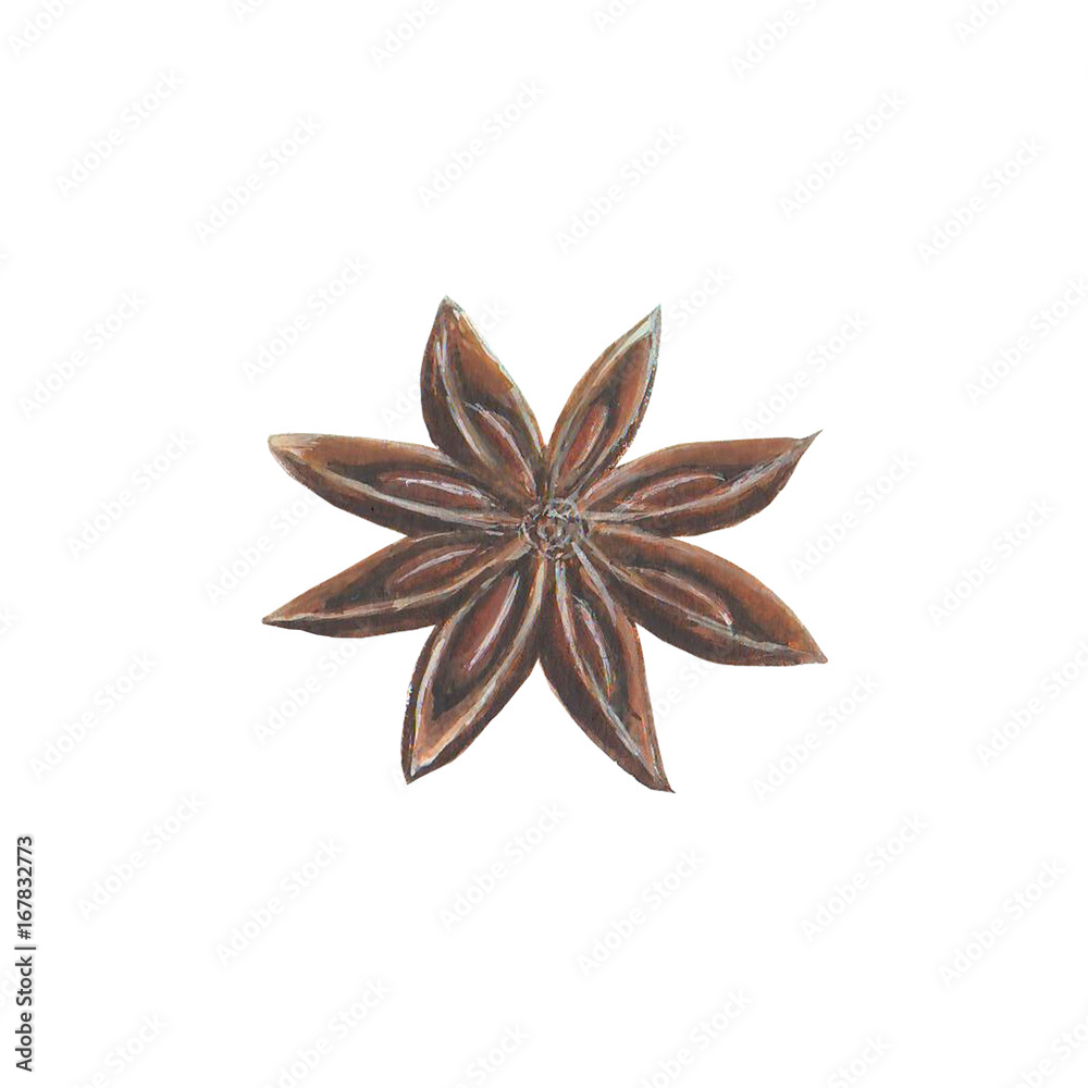 Anise star spice Anise star spice