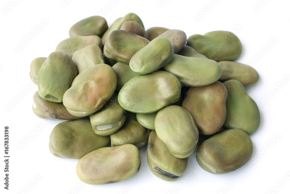 Dried fava beans Dried fava beans